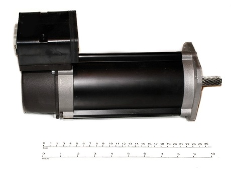 Motor; Fahrmotor · 400V/50HZ-460V/60HZ. M=1.0XZ=11 Demag Identnummer 52292505